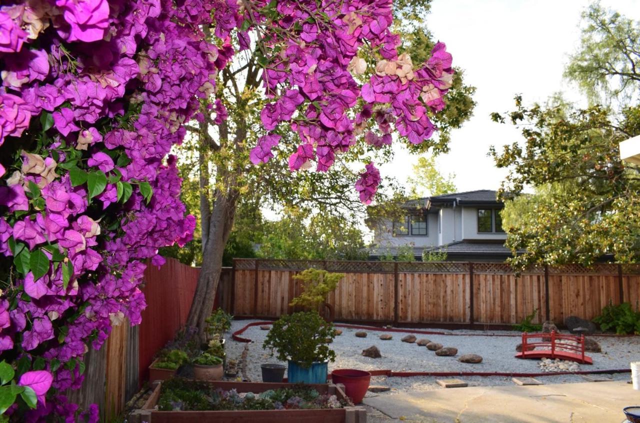 Palo Alto Quiet 1 Bedroom Stanford University Exterior foto